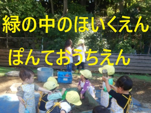 引用: ぽんておうちえん
