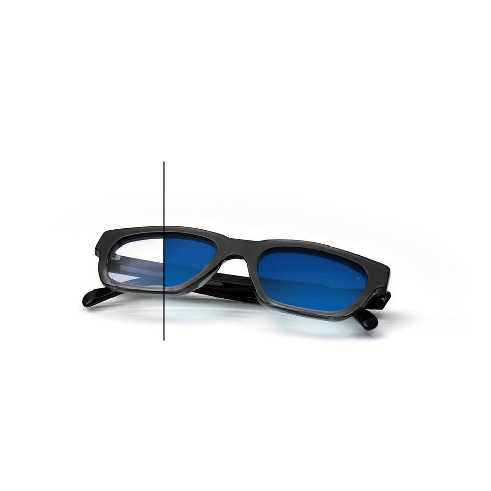 ZEISS PHOTOFUSION