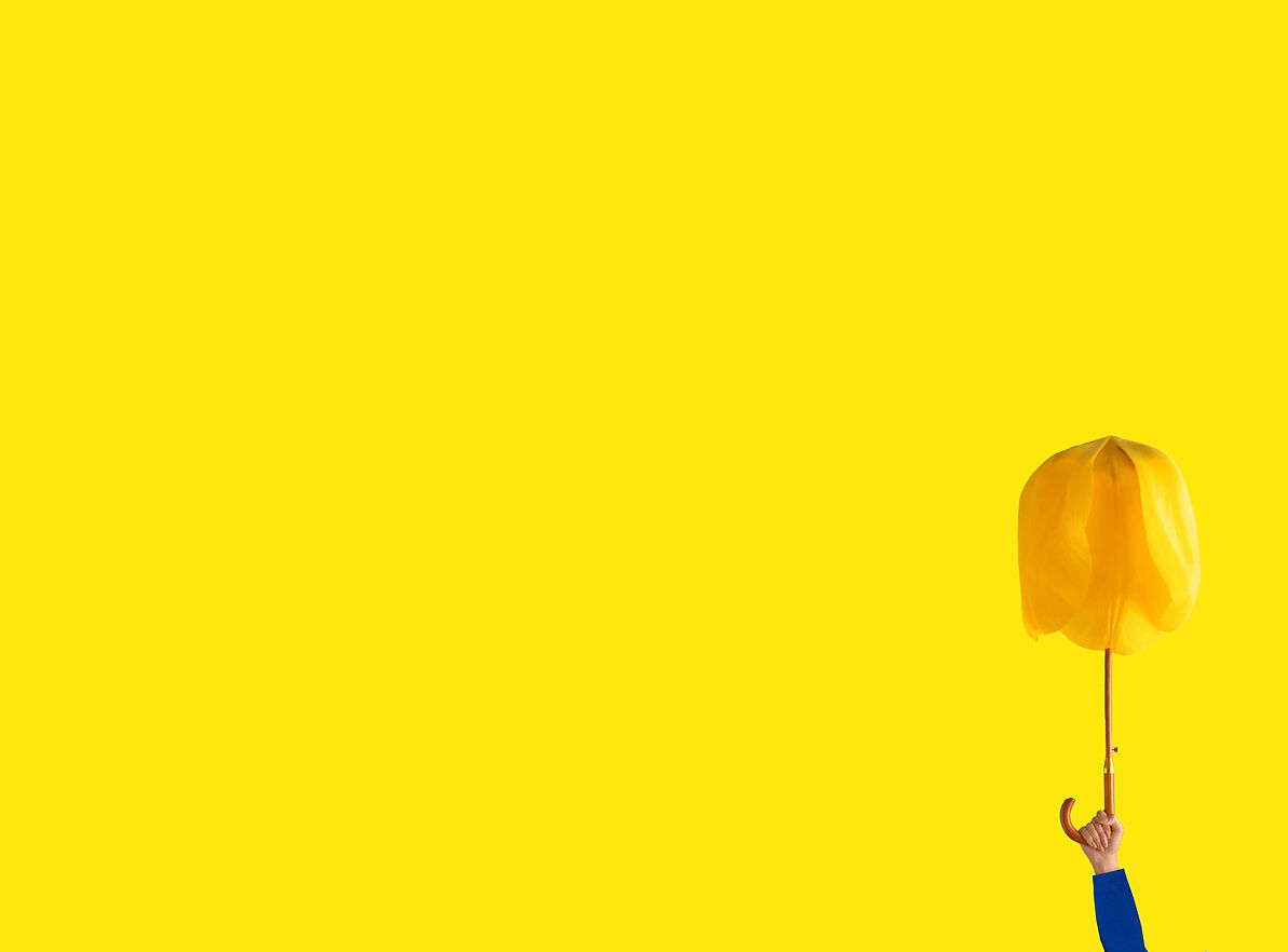 parapluie.jpg