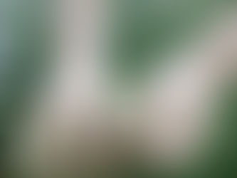 關係中的「平衡」-- 小故事