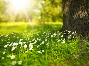 A New Beginning
