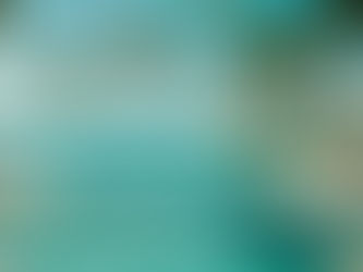 Vista aérea de la Riviera Maya con playas de arena blanca, mar turquesa y vegetación tropical, destino de turismo de lujo e inversión inmobiliaria.