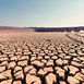 The AI Drought