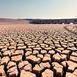 The AI Drought