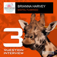 3 Question Interview - ISSUE 5