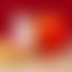 Things a Graphic Designer Can Create for You