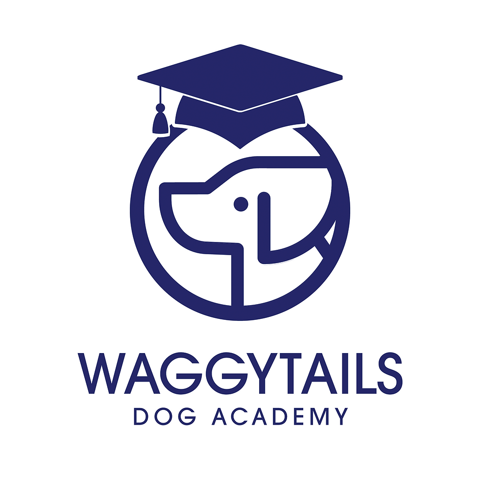 Navy logo of a dog's head wearing a graduation cap, encircled, with text "Waggytails Dog Academy" beneath. White background.