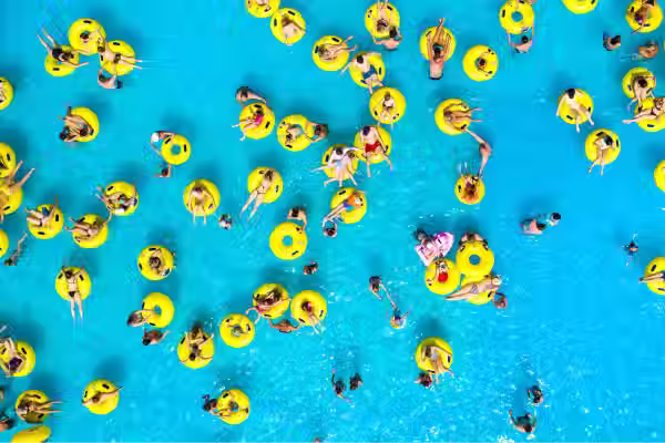 Talent pool o base de candidatos