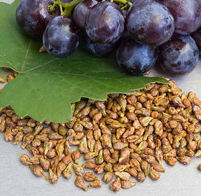 Grape seeds