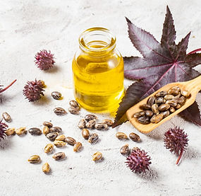 castor beans oil and flowers