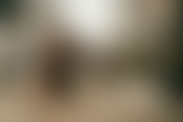 ロンドン交通費を最安にする方法｜Oyster × Railcard完全ガイド【30歳以下必須】