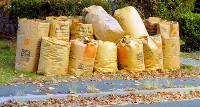 46383061_2372233762791447_1617715031359619072_n