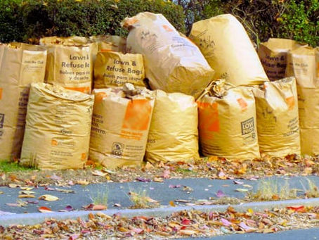 Scheduling with Brush and Yard Waste 10/29