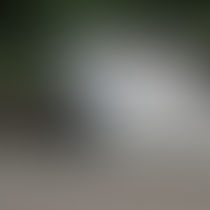 Bulk Item Pick-Up Change