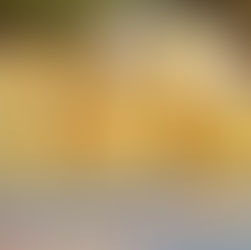 Scheduling with Brush and Yard Waste 10/29