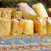 Scheduling with Brush and Yard Waste 10/29