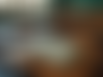 Unveiling the Path: A Comprehensive Guide to Learning Quran for Beginners