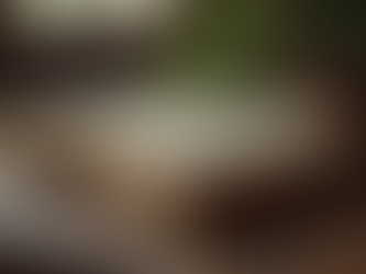 Unlock the Secrets: 5 Expert Tips for Mastering Quran Reading Online and Becoming a Pro E-Learner