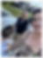 IMG_7203 1.png