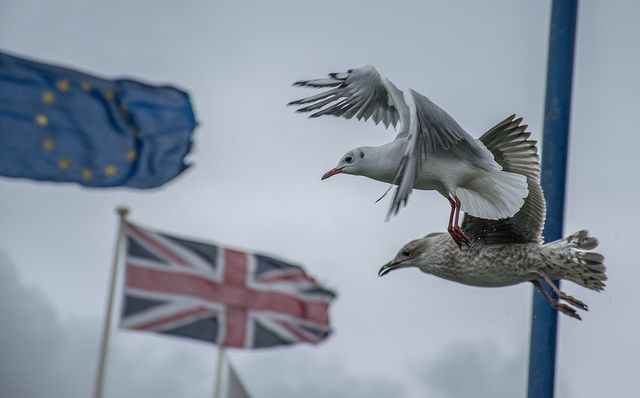 The Twilight Zone of the Brexit Withdrawal Agreement