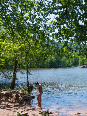 Schwimmen im Pfälzerwald