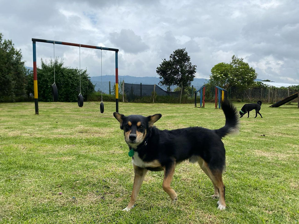 WhatsApp Image 2025-05-04 at 6.39.16 PM