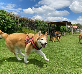 WhatsApp Image 2025-05-04 at 6.27.52 PM (2).jpeg