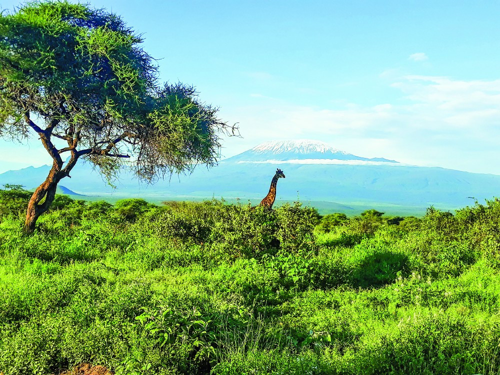 Contiki, Treadright Foundation, The Travel Corporation, The SustainabilityX® Magazine