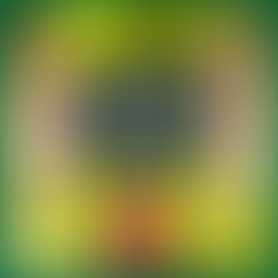 Why Toronto Needs A Strong Resilience Strategy To Survive The Climate Crisis