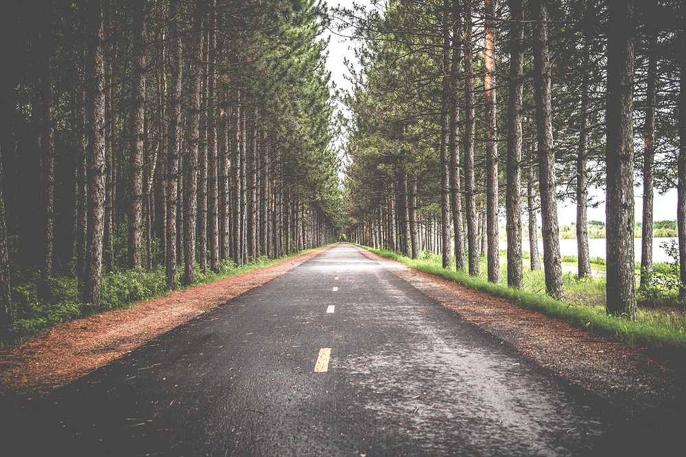 Sustainability, E-commerce, Ecommerce, Web Design, The SustainabilityX® Magazine