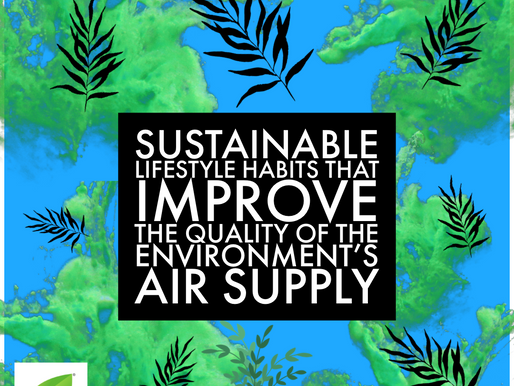 Sustainable Lifestyle Habits That Improve The Quality Of The Environment’s Air Supply