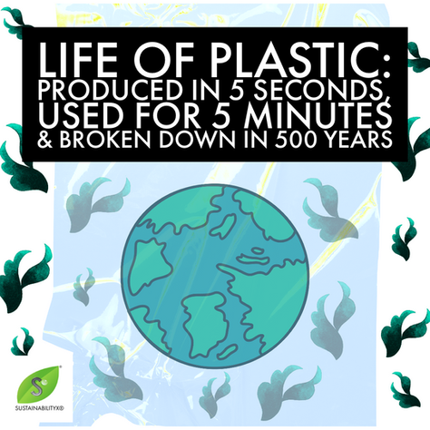 Life Of Plastic: Produced In Five Seconds, Used For Five Minutes, Broken Down In 500 Years