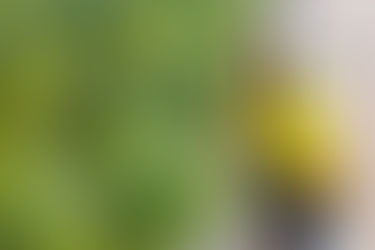 Adidas Challenges The World Of Fashion