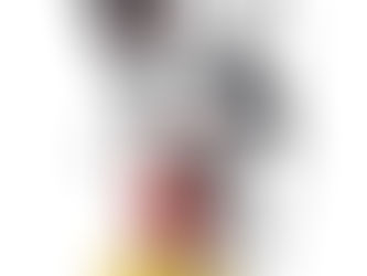 ミッキーマウスの誕生日!