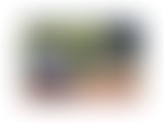 高校野球が面白い!