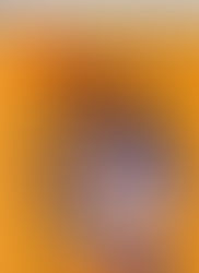 ベビースターの日