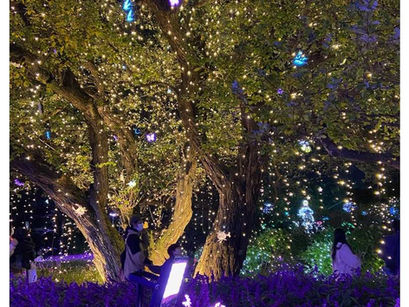 イルミネーション