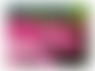 ゴールデンウィーク