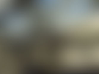 Jardin d’hiver 🌸