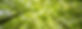 pexels-felix-mittermeier-957024_edited.j
