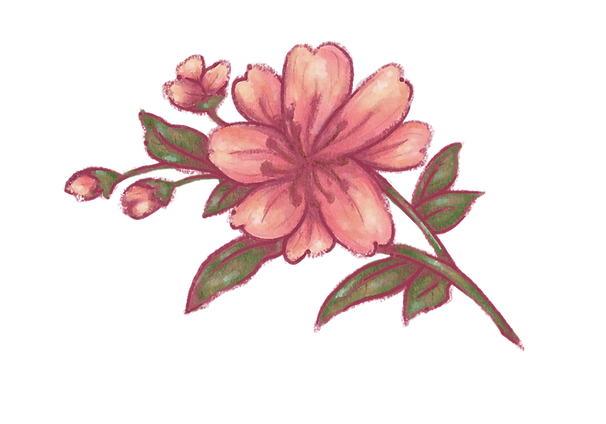 peachyflowers_edited_edited.png