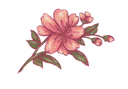peachyflowers_edited.png
