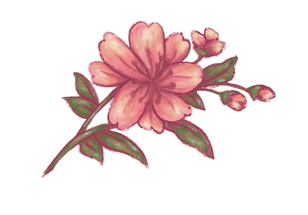 peachyflowers_edited.png