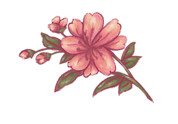 peachyflowers_edited_edited.png
