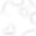 fish (2).png