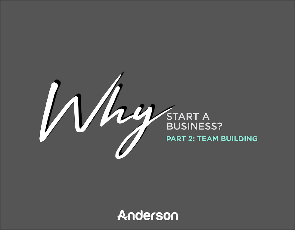 Anderson The Fish | Business Development | Business Consultation