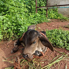 45823dd4-d0ef-44e9-9c80-28877ec9c4b5