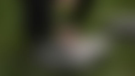 Qual a posição do Espiritismo sobre a cremação?