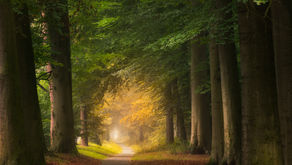 O que são os sonhos pelo Espiritismo?