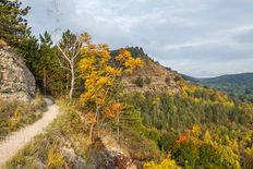 Wandern auf der Saale Horizontale bei Jena